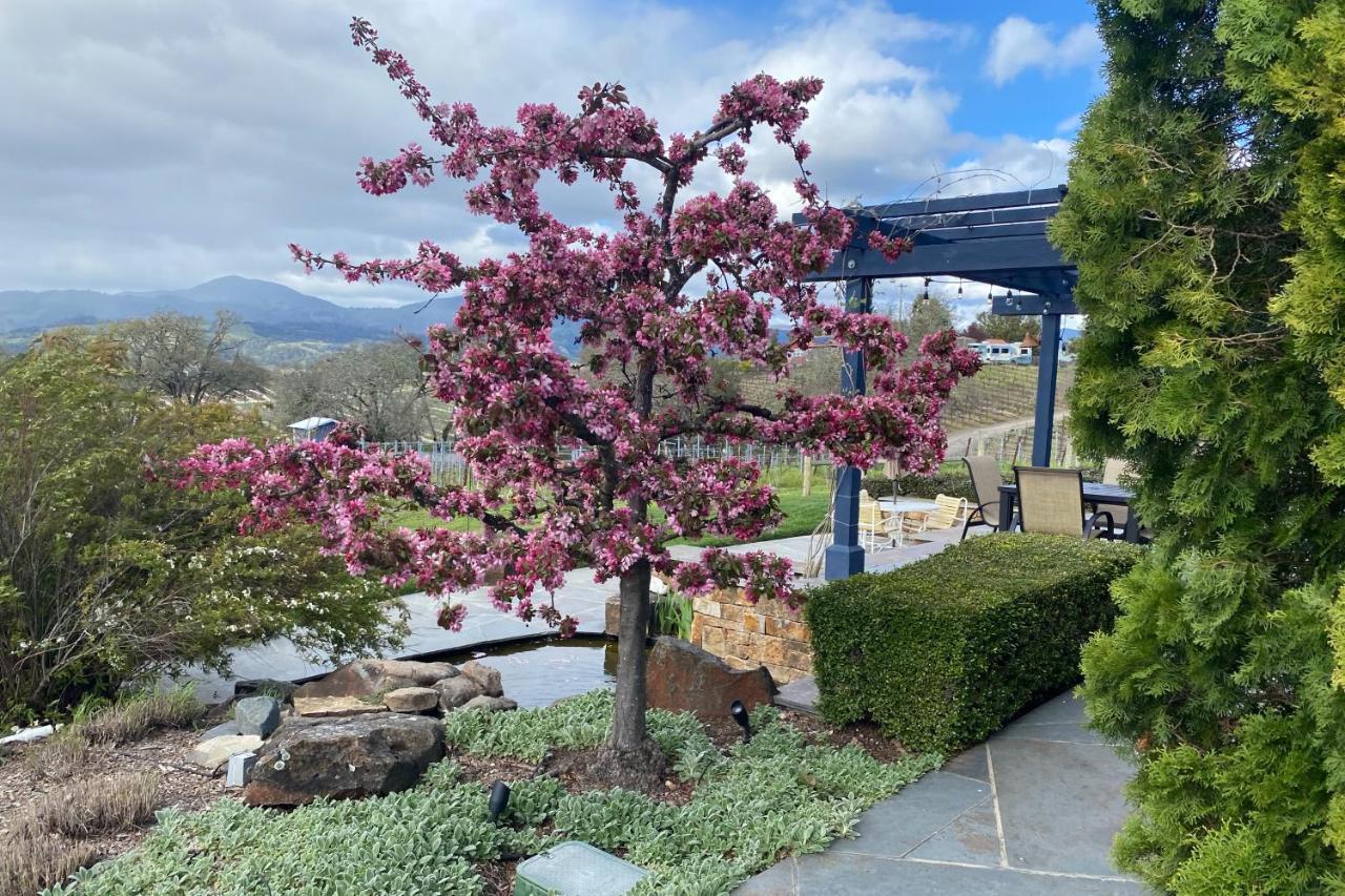 Alexander Valley Retreat Healdsburg Exterior photo
